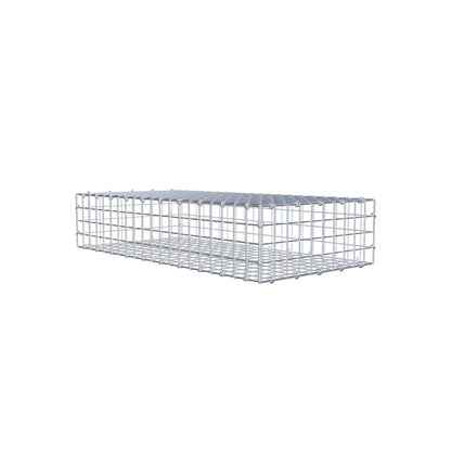 Gabion 100 cm x 20 cm x 50 cm (L x H x D), maskstorlek 5 cm x 5 cm, C-ring