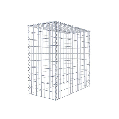 Grown-on gabion type 3 100 cm x 100 cm x 50 cm (L x H x D), mesh size 5 cm x 10 cm, spiral