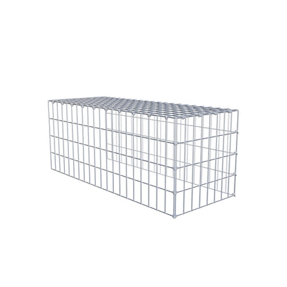 Extra gabion typ 4 100 cm x 40 cm x 40 cm (L x H x D), maskstorlek 5 cm x 10 cm, C-ring