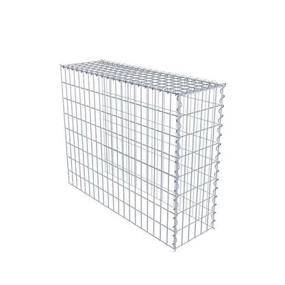 Grown-on gabion type 4 100 cm x 80 cm x 30 cm (L x H x D), mesh size 5 cm x 10 cm, spiral